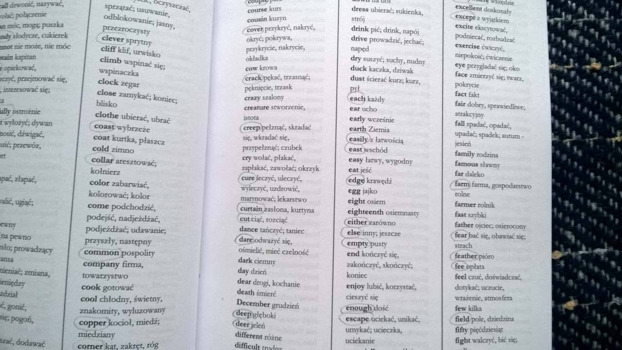 język angielski dla początkujących ze słownikiem